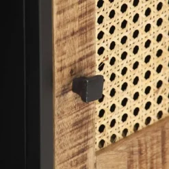 vidaXL Tv-Bänkar>TV-bänk 120x30x40 cm massivt grovt mangoträ och naturlig rotting