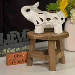 LBSS Pallar><noscript><img width=