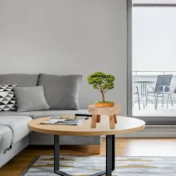 Pallar><noscript><img width=