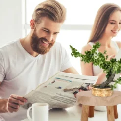 Pallar><noscript><img width=