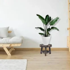 Pallar><noscript><img width=