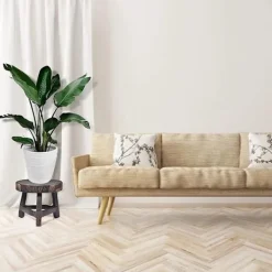 Pallar><noscript><img width=